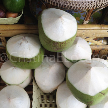 Cocos grandes. Tailandia