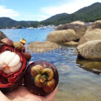 Mangoteens en Tailandia