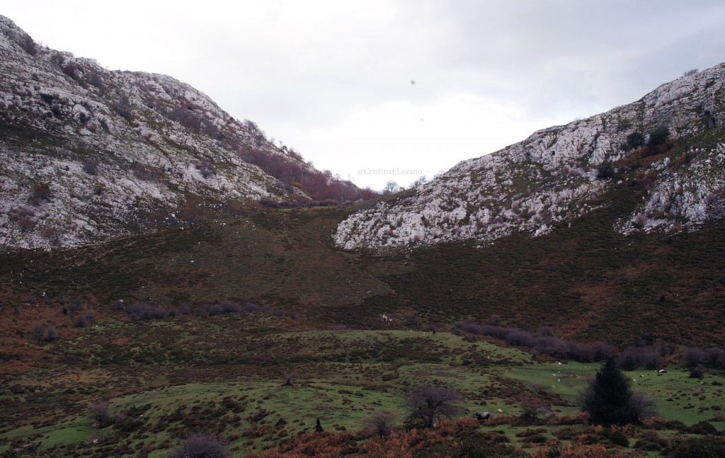 Ruta del Hoyo Masallo, de Valle a Riba en otoño. Valle de Soba (Cantabria)