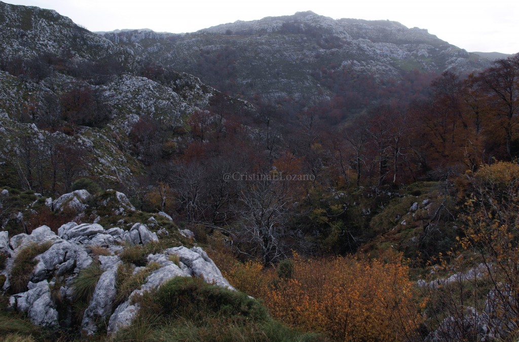 Ruta del Hoyo Masallo, de Valle a Riba en otoño. Valle de Soba (Cantabria)