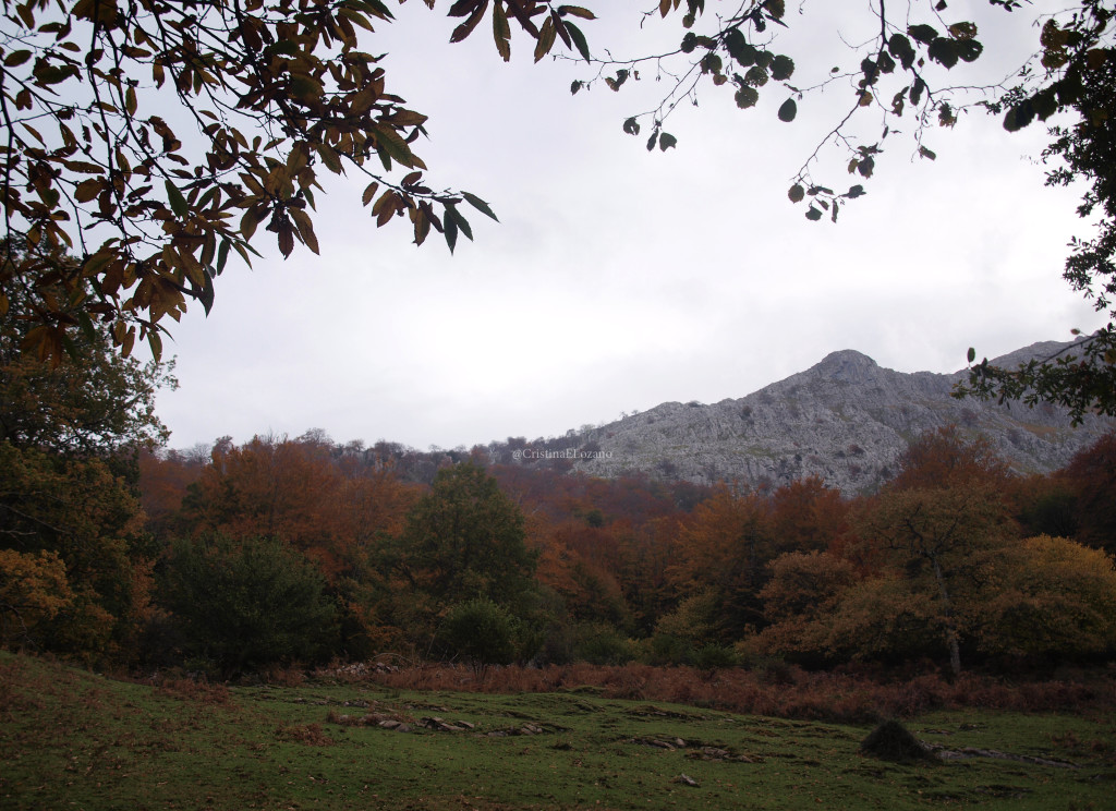 Ruta del Hoyo Masallo, de Valle a Riba en otoño. Valle de Soba (Cantabria)