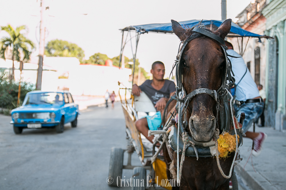Guía rápida de Cuba- una carreta de caballos en Cienfuegos